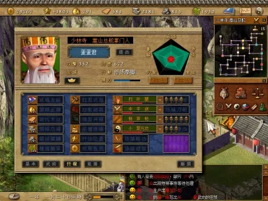 天下霸图第九式秘籍深度解析及使用技巧