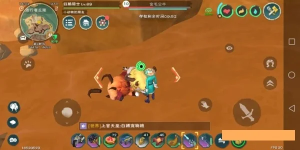 《创造与魔法》攻略：轻松捕捉公牛技巧分享