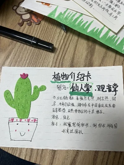 植物卡片收集攻略：种类功能、组合策略、使用技巧与升级重要性