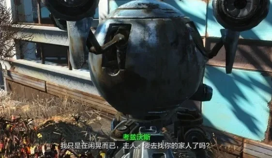 辐射4卡顿问题解析与解决技巧全攻略