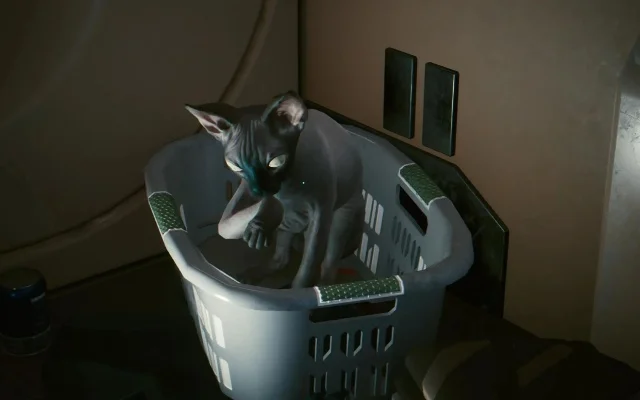 辐射4驯猫指南：轻松建造猫笼，享受快乐共养