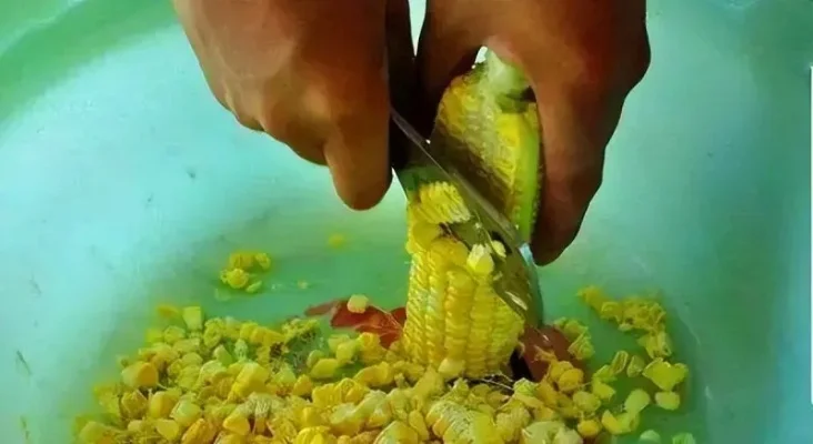 蓝马饲料制作步骤：小麦玉米河豚合成攻略
