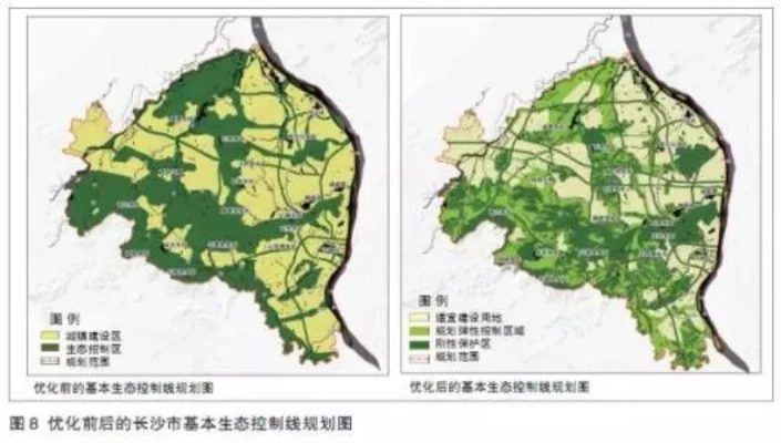 高效林业区建设关键步骤：规划与优化指南