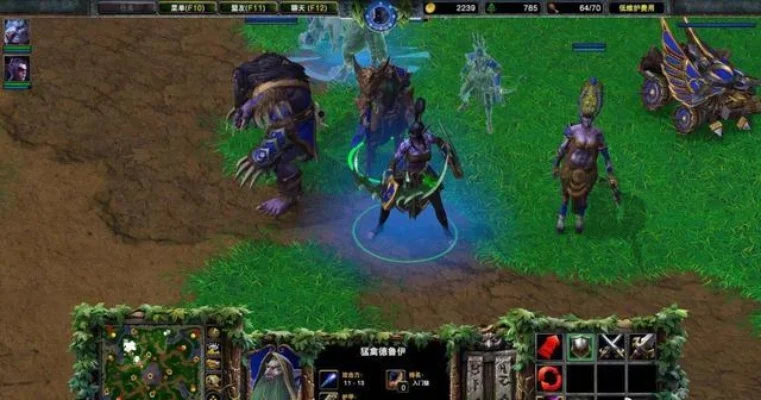 魔兽争霸职业攻略：揭秘最佳角色选择